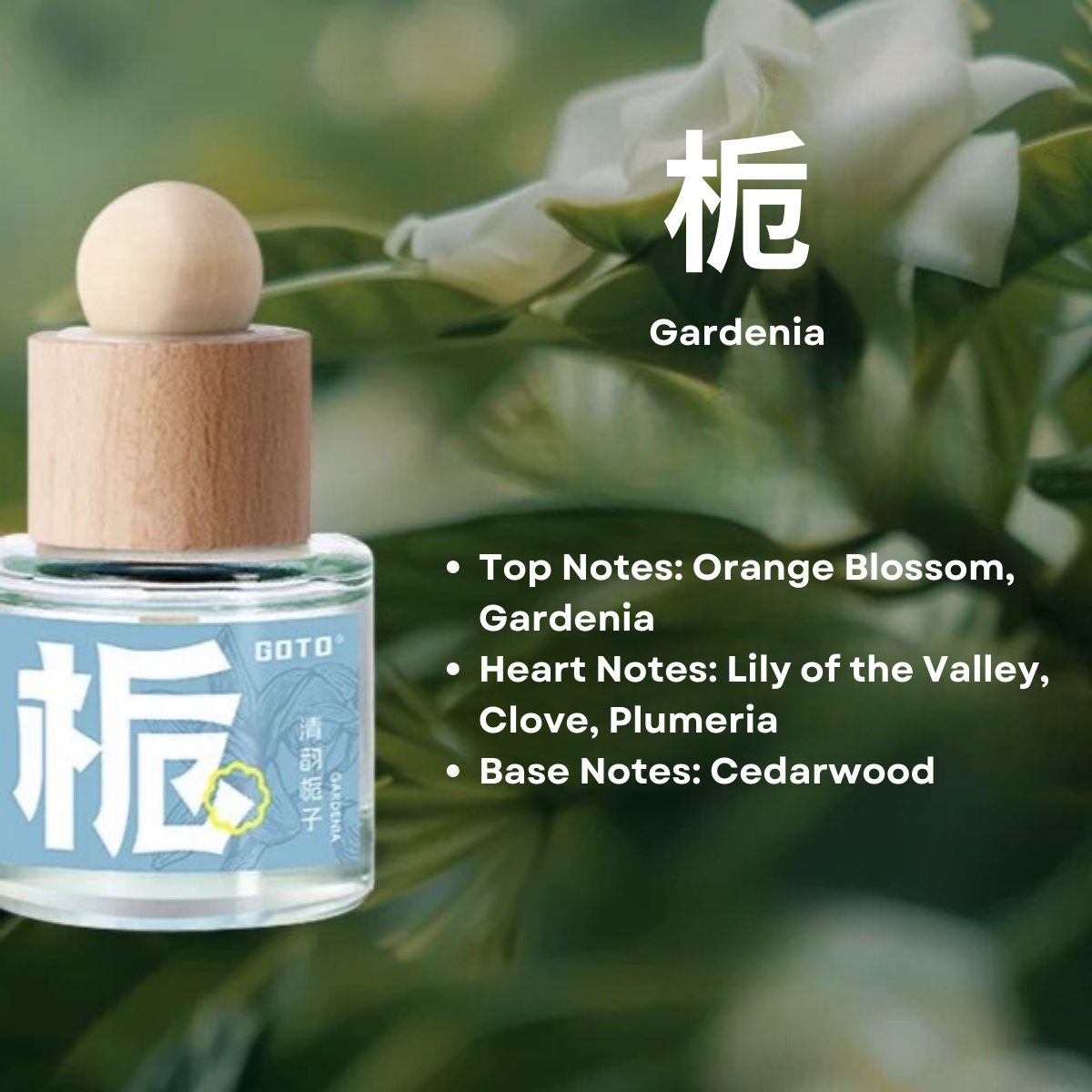 GOTO Fragrance Oriental Scent Long-Lasting Air Freshener for Home Closet and Car 50ml