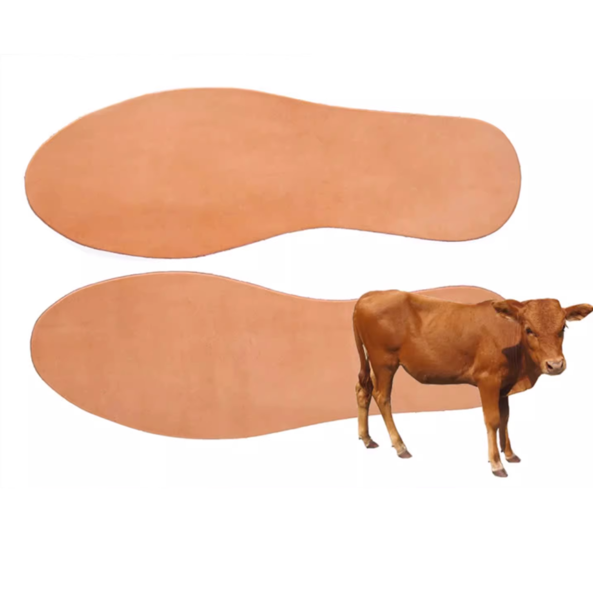 Shoespa 2.5mm First Class Cowhide Leather Insole insert - Suitable for Sports Shoes & Dress Shoes 1 Pair